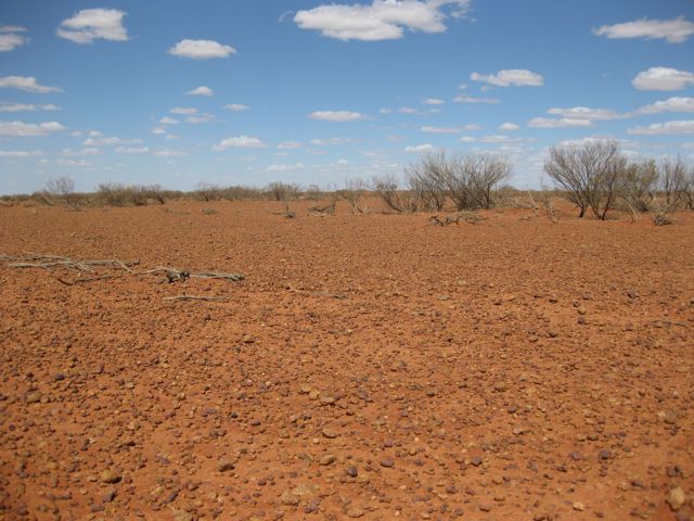 gibbers & drought