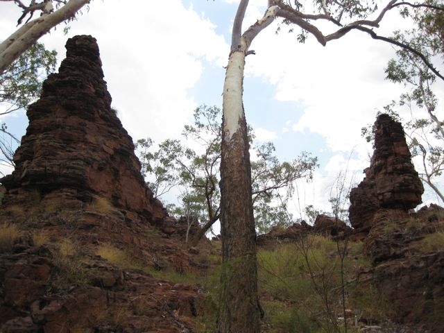 Buddawarka, NT