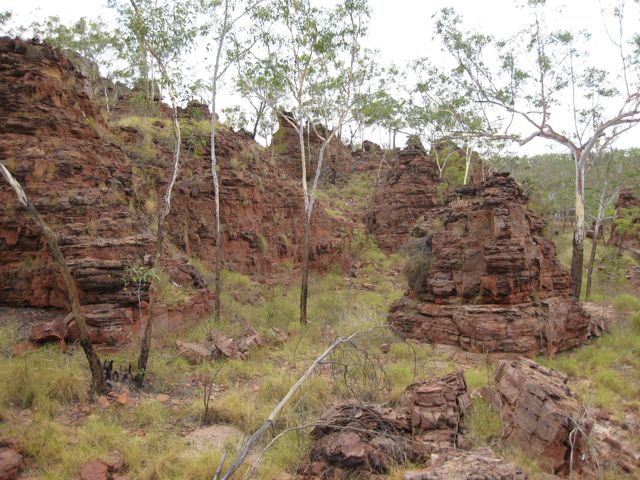 Buddawarka, NT