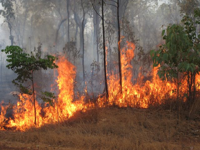 Doongan Stn fire