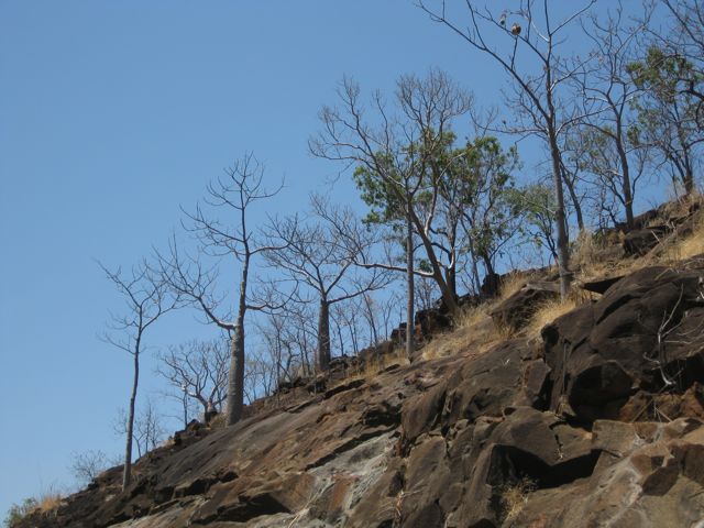 Boabs, Matthew Gorge