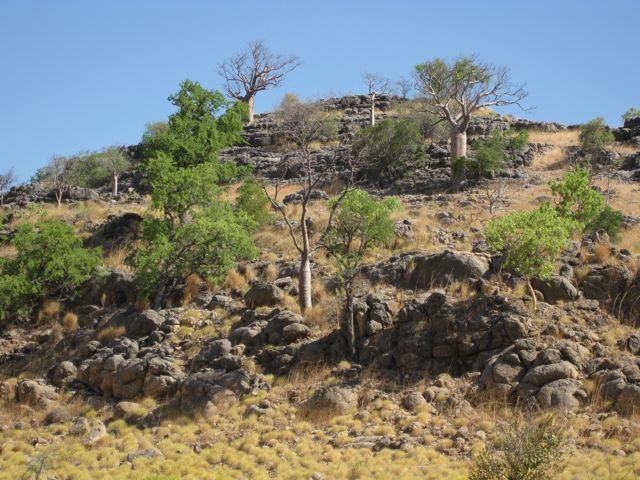 nr Tunnel Creek