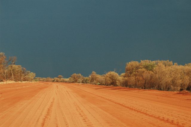 Red earth and mulga, Tanami Track