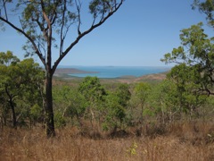 Port Warrender lookout