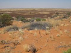 Dune & gibber plain, Diamantina NP