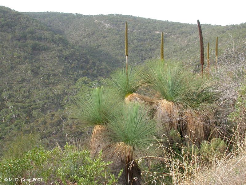 79 Morialta
