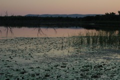 29 Kununurra lake