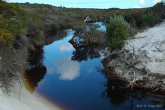 03 Seal Creek, Cape Arid