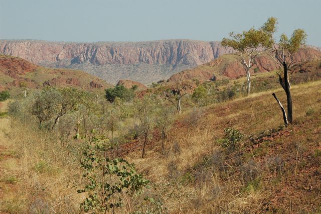 Lake Argyle 1