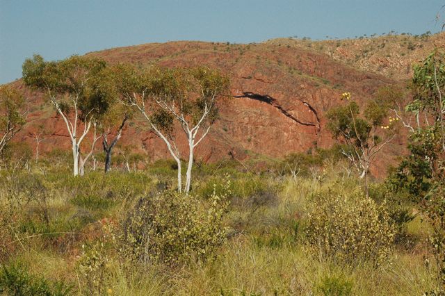 Lake Argyle 3