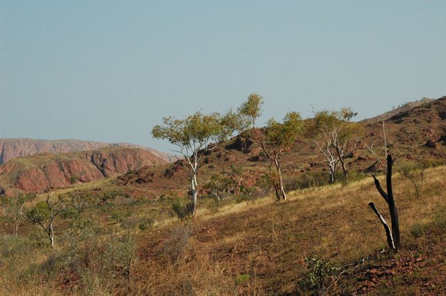 Lake Argyle 4