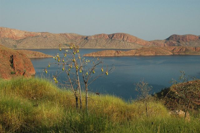 Lake Argyle 16