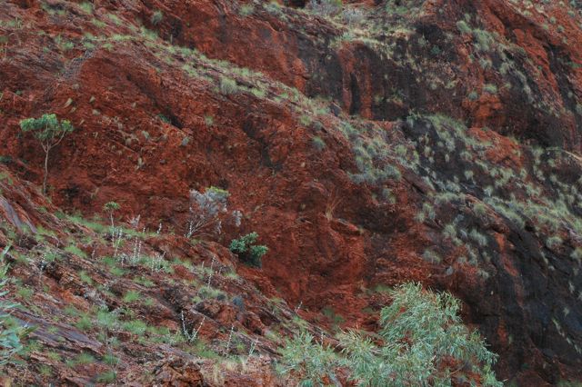 Lake Argyle 17