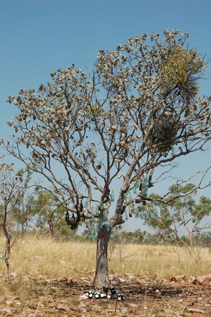 Bottle tree 2