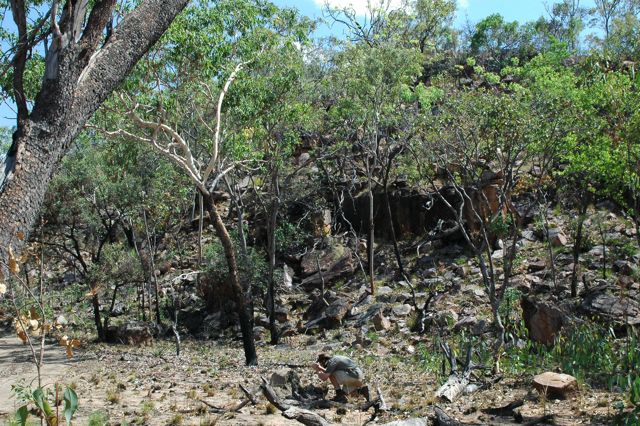 Walcott Inlet Track 2