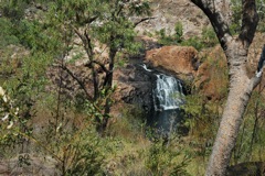 Edith Falls 4