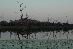 Sunset Kununurra lake 3