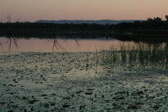 Sunset Kununurra lake 5