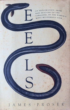 Eels again!